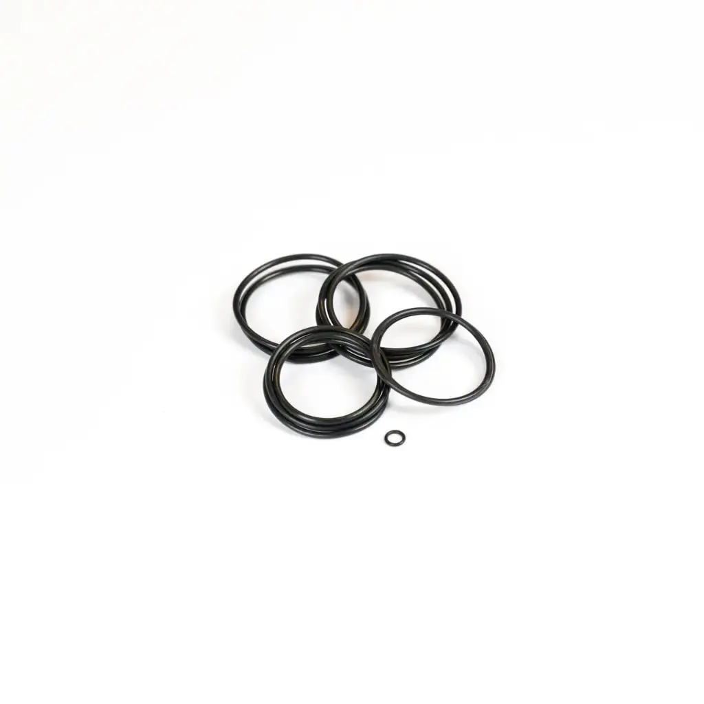 [2000-20] [2000-20] DSV O-Ring Kit