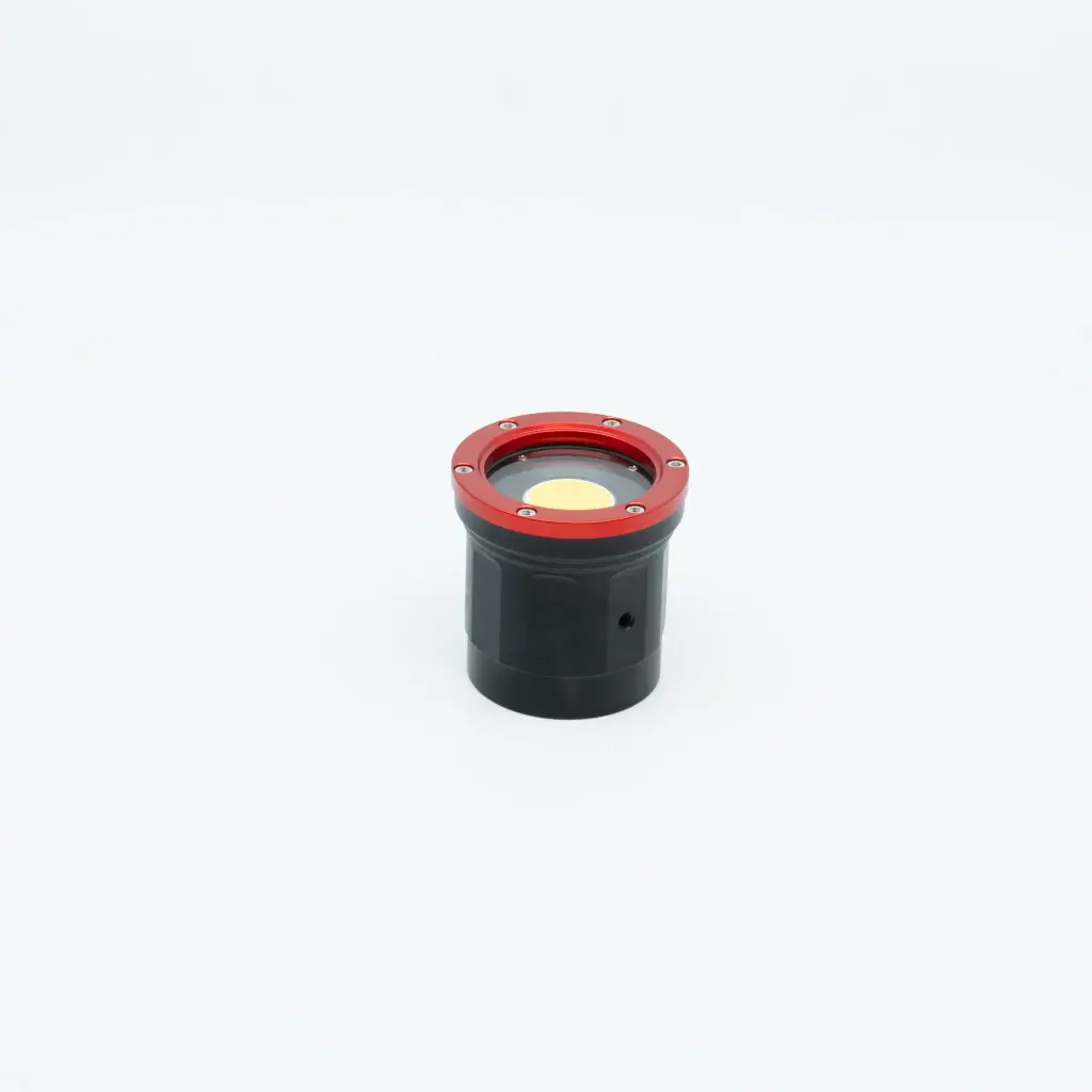 Shark Ilma video lighthead