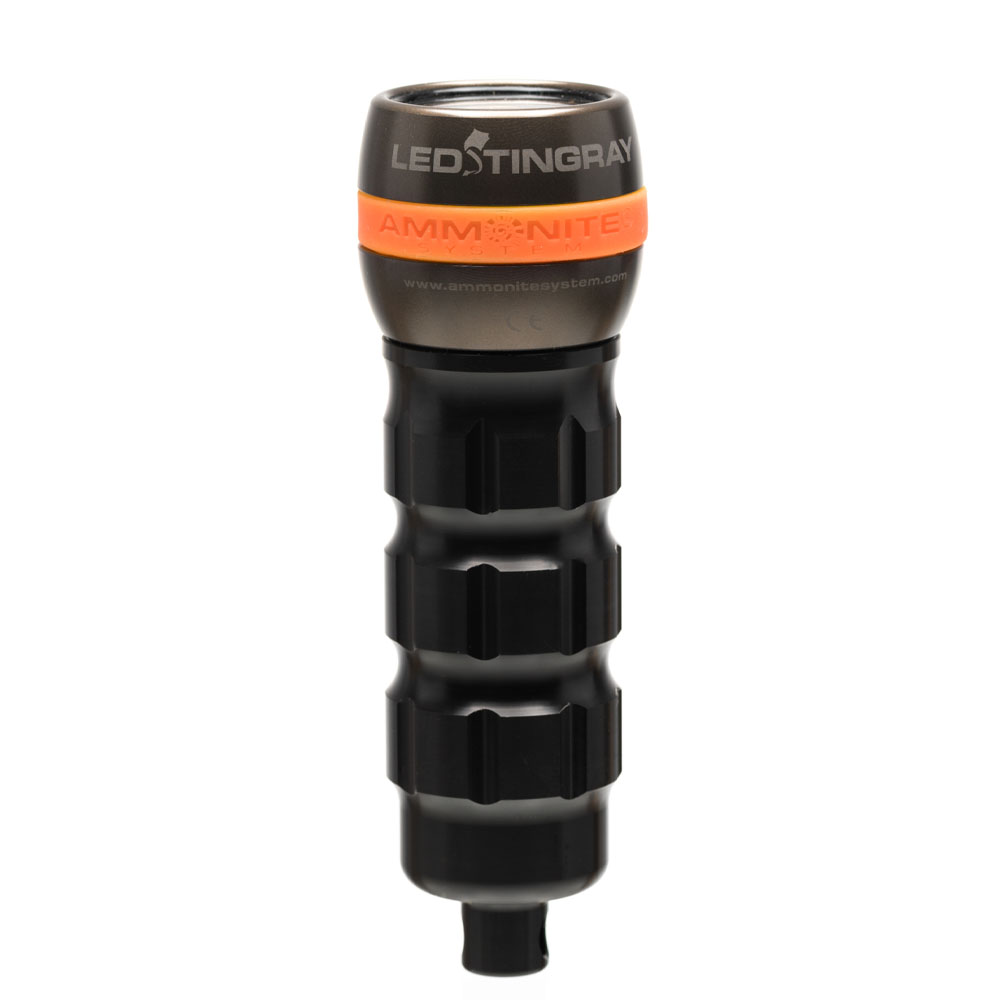 Ammonite Stingray MARK II