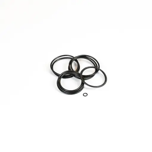 [2000-20] [2000-20] DSV O-Ring Kit