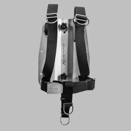 Backplate With Harness